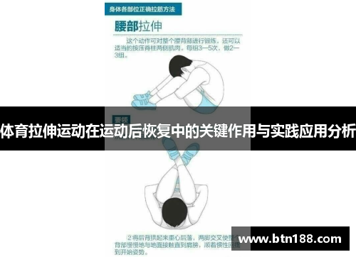 体育拉伸运动在运动后恢复中的关键作用与实践应用分析